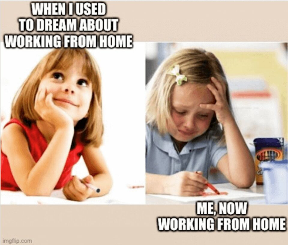 41 Brilliantly Funny Work From Home Memes That Are So True