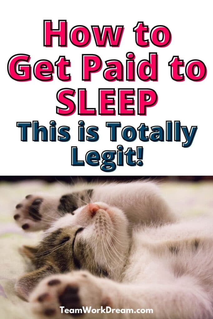 Cat lying on it's back fast asleep with overlay text saying How to Get Paid to Sleep This is Totally Legit.