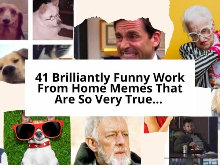 41 Brilliantly Funny Work from Home Memes That Are So True…