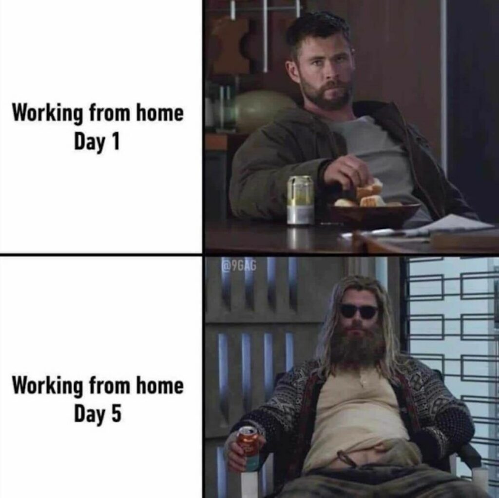 Work From Home Meme