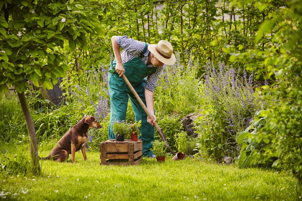 Gardener